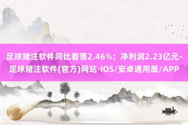 足球赌注软件同比着落2.46%；净利润2.23亿元-足球赌注软件(官方)网站·IOS/安卓通用版/APP