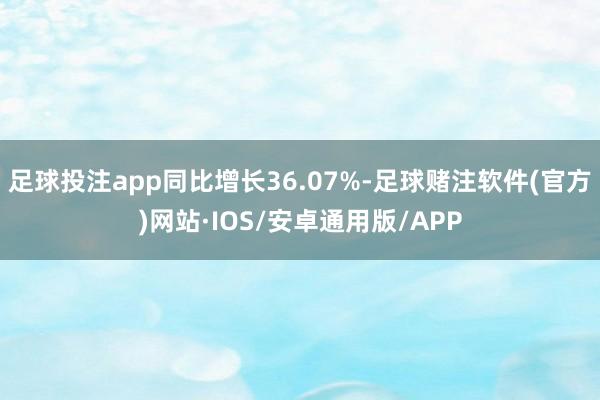 足球投注app同比增长36.07%-足球赌注软件(官方)网站·IOS/安卓通用版/APP