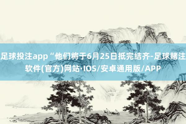 足球投注app“他们将于6月25日抵完结齐-足球赌注软件(官方)网站·IOS/安卓通用版/APP