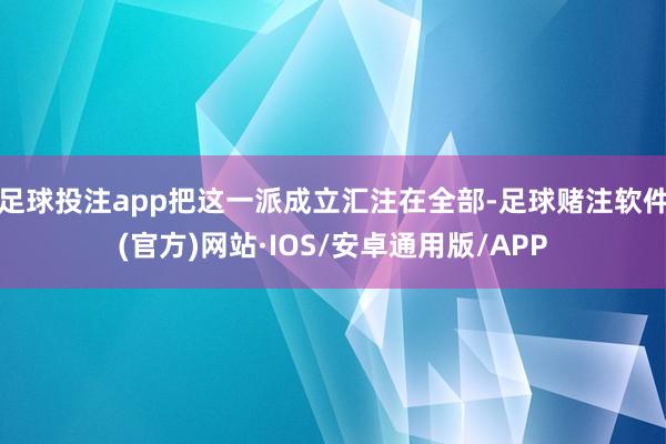 足球投注app把这一派成立汇注在全部-足球赌注软件(官方)网站·IOS/安卓通用版/APP