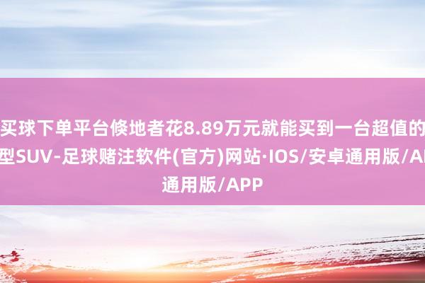 买球下单平台倏地者花8.89万元就能买到一台超值的中型SUV-足球赌注软件(官方)网站·IOS/安卓通用版/APP