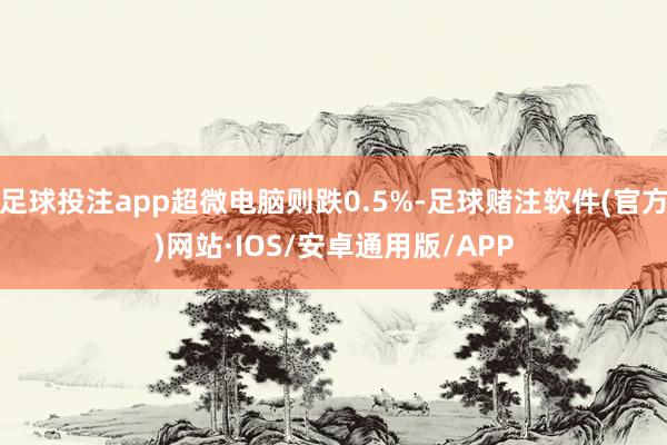 足球投注app超微电脑则跌0.5%-足球赌注软件(官方)网站·IOS/安卓通用版/APP