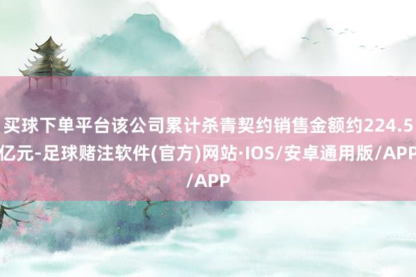 买球下单平台该公司累计杀青契约销售金额约224.5亿元-足球赌注软件(官方)网站·IOS/安卓通用版/APP