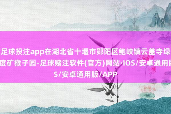 足球投注app在湖北省十堰市郧阳区鲍峡镇云盖寺绿松石国度矿猴子园-足球赌注软件(官方)网站·IOS/安卓通用版/APP