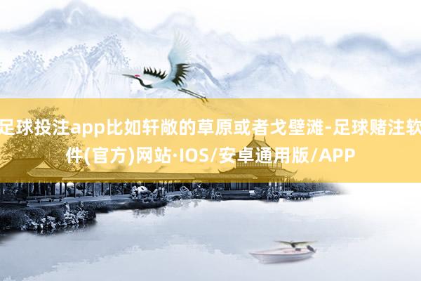 足球投注app比如轩敞的草原或者戈壁滩-足球赌注软件(官方)网站·IOS/安卓通用版/APP