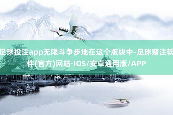 足球投注app无限斗争步地在这个版块中-足球赌注软件(官方)网站·IOS/安卓通用版/APP