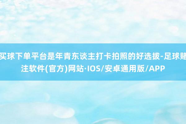 买球下单平台是年青东谈主打卡拍照的好选拔-足球赌注软件(官方)网站·IOS/安卓通用版/APP