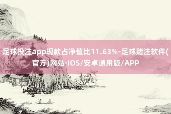 足球投注app现款占净值比11.63%-足球赌注软件(官方)网站·IOS/安卓通用版/APP