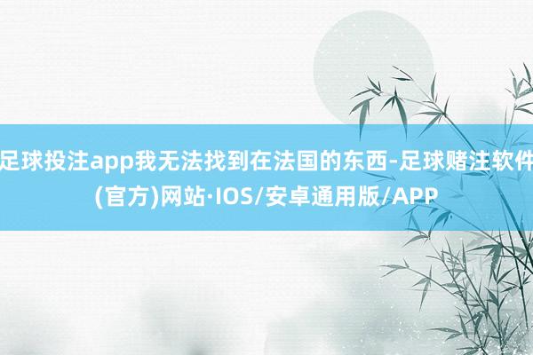 足球投注app我无法找到在法国的东西-足球赌注软件(官方)网站·IOS/安卓通用版/APP