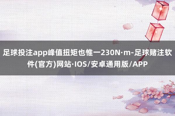 足球投注app峰值扭矩也惟一230N·m-足球赌注软件(官方)网站·IOS/安卓通用版/APP