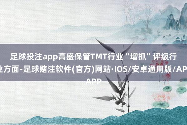 足球投注app　　高盛保管TMT行业“增抓”评级　　行业方面-足球赌注软件(官方)网站·IOS/安卓通用版/APP