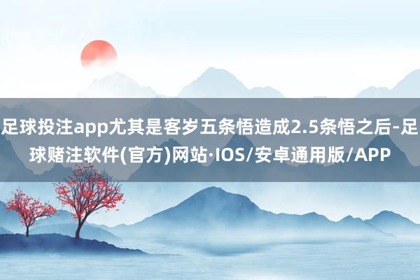 足球投注app尤其是客岁五条悟造成2.5条悟之后-足球赌注软件(官方)网站·IOS/安卓通用版/APP