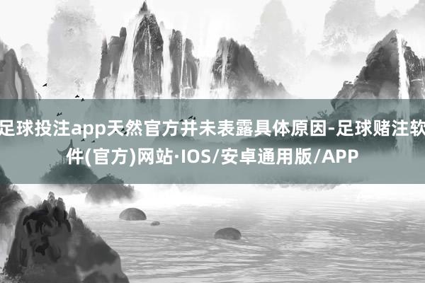 足球投注app天然官方并未表露具体原因-足球赌注软件(官方)网站·IOS/安卓通用版/APP