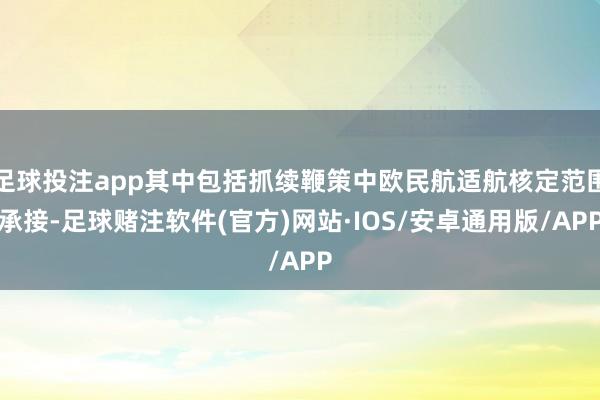 足球投注app其中包括抓续鞭策中欧民航适航核定范围承接-足球赌注软件(官方)网站·IOS/安卓通用版/APP