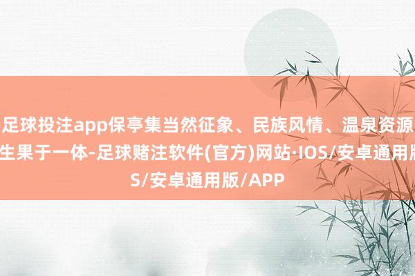 足球投注app保亭集当然征象、民族风情、温泉资源、热带生果于一体-足球赌注软件(官方)网站·IOS/安卓通用版/APP