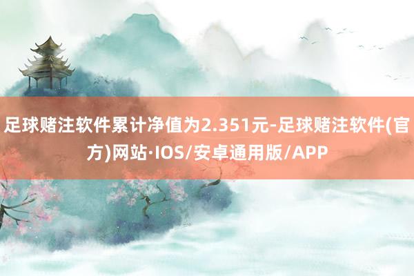 足球赌注软件累计净值为2.351元-足球赌注软件(官方)网站·IOS/安卓通用版/APP