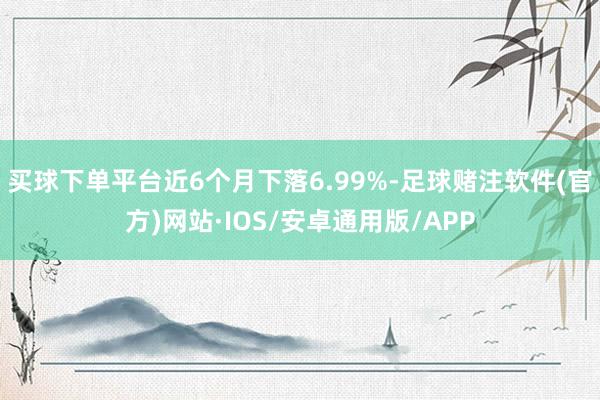 买球下单平台近6个月下落6.99%-足球赌注软件(官方)网站·IOS/安卓通用版/APP