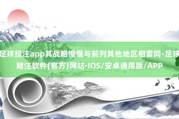 足球投注app其战略慢慢与前列其他地区相雷同-足球赌注软件(官方)网站·IOS/安卓通用版/APP