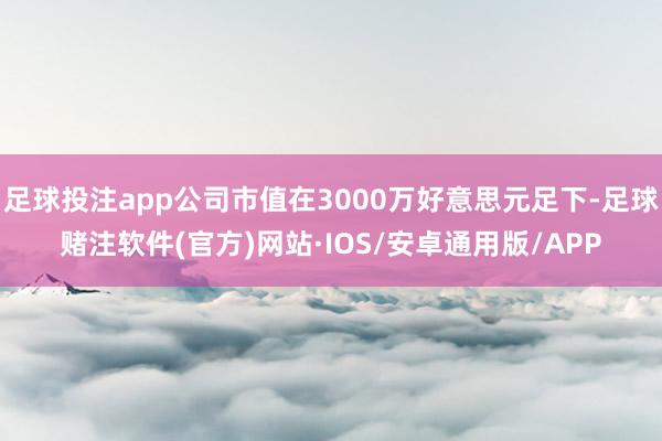 足球投注app公司市值在3000万好意思元足下-足球赌注软件(官方)网站·IOS/安卓通用版/APP