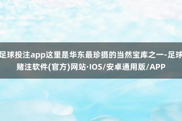 足球投注app这里是华东最珍摄的当然宝库之一-足球赌注软件(官方)网站·IOS/安卓通用版/APP