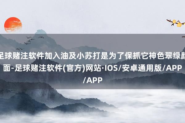 足球赌注软件加入油及小苏打是为了保抓它神色翠绿颜面-足球赌注软件(官方)网站·IOS/安卓通用版/APP