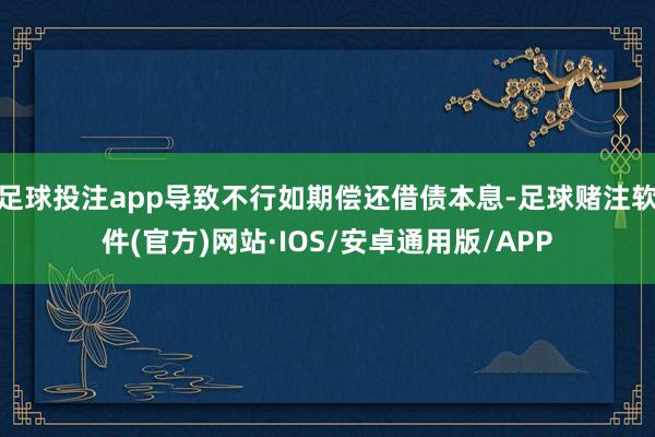 足球投注app导致不行如期偿还借债本息-足球赌注软件(官方)网站·IOS/安卓通用版/APP