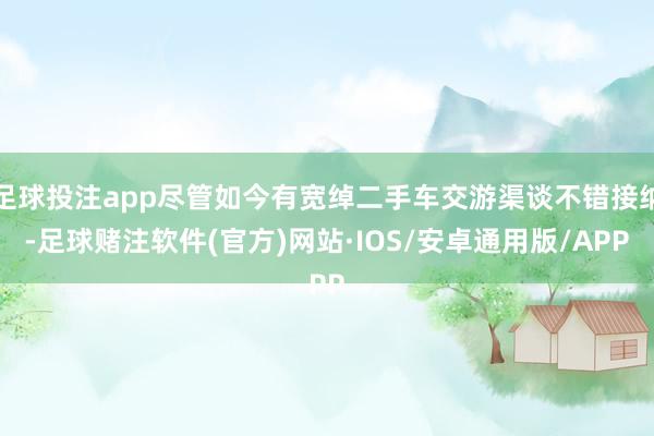 足球投注app尽管如今有宽绰二手车交游渠谈不错接纳-足球赌注软件(官方)网站·IOS/安卓通用版/APP