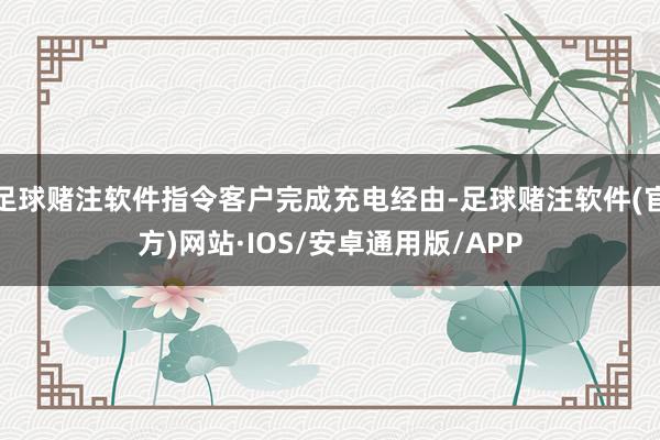 足球赌注软件指令客户完成充电经由-足球赌注软件(官方)网站·IOS/安卓通用版/APP