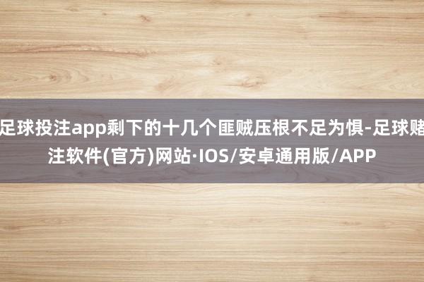 足球投注app剩下的十几个匪贼压根不足为惧-足球赌注软件(官方)网站·IOS/安卓通用版/APP