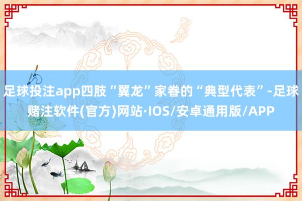 足球投注app四肢“翼龙”家眷的“典型代表”-足球赌注软件(官方)网站·IOS/安卓通用版/APP