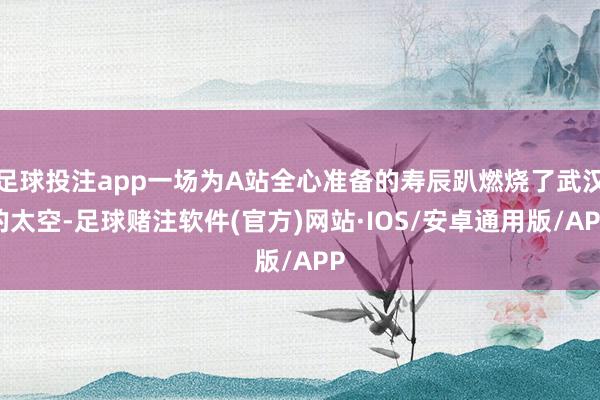 足球投注app一场为A站全心准备的寿辰趴燃烧了武汉的太空-足球赌注软件(官方)网站·IOS/安卓通用版/APP