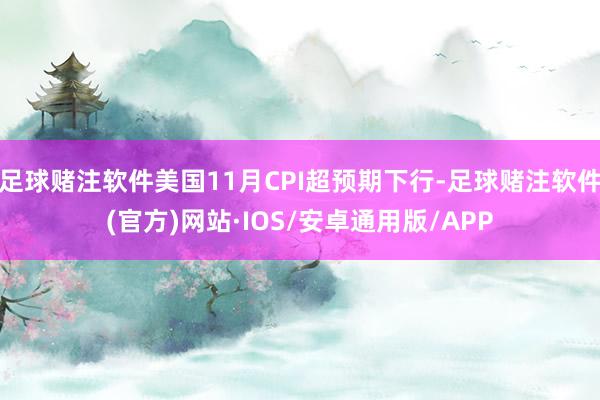 足球赌注软件美国11月CPI超预期下行-足球赌注软件(官方)网站·IOS/安卓通用版/APP