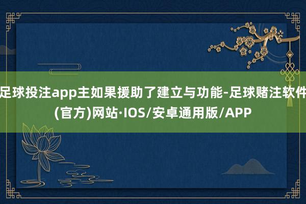 足球投注app主如果援助了建立与功能-足球赌注软件(官方)网站·IOS/安卓通用版/APP