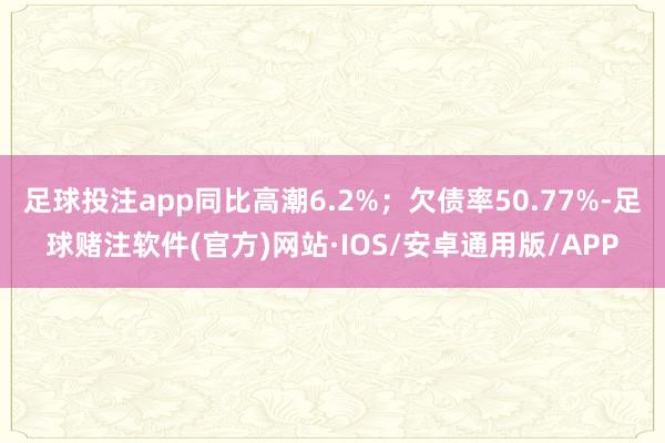 足球投注app同比高潮6.2%；欠债率50.77%-足球赌注软件(官方)网站·IOS/安卓通用版/APP