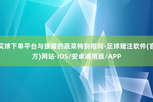 买球下单平台与拔擢的蔬菜特别相同-足球赌注软件(官方)网站·IOS/安卓通用版/APP