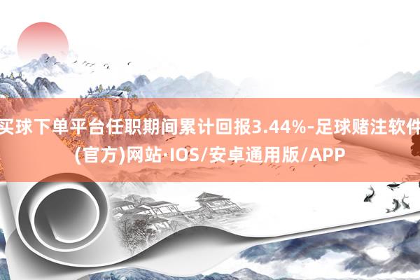 买球下单平台任职期间累计回报3.44%-足球赌注软件(官方)网站·IOS/安卓通用版/APP