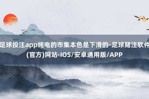 足球投注app纯电的市集本色是下滑的-足球赌注软件(官方)网站·IOS/安卓通用版/APP