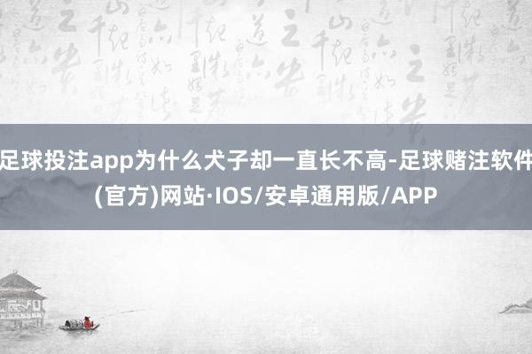 足球投注app为什么犬子却一直长不高-足球赌注软件(官方)网站·IOS/安卓通用版/APP