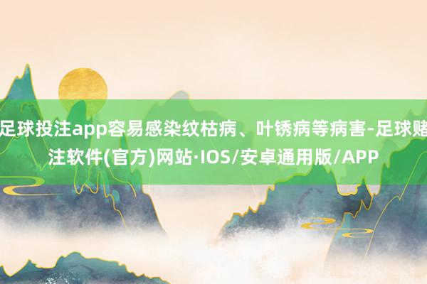 足球投注app容易感染纹枯病、叶锈病等病害-足球赌注软件(官方)网站·IOS/安卓通用版/APP