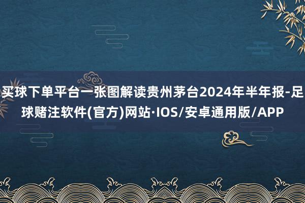 买球下单平台一张图解读贵州茅台2024年半年报-足球赌注软件(官方)网站·IOS/安卓通用版/APP