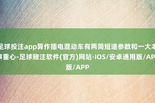 足球投注app算作插电混动车有两简短道参数和一大本事重心-足球赌注软件(官方)网站·IOS/安卓通用版/APP