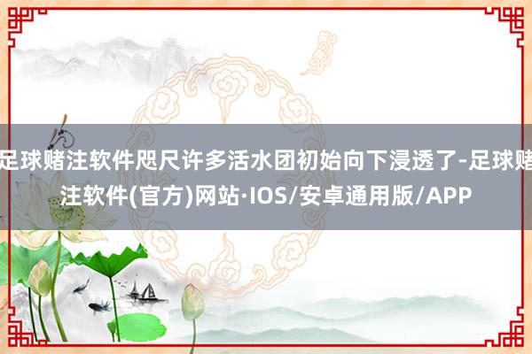 足球赌注软件咫尺许多活水团初始向下浸透了-足球赌注软件(官方)网站·IOS/安卓通用版/APP