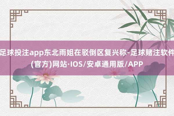 足球投注app东北雨姐在驳倒区复兴称-足球赌注软件(官方)网站·IOS/安卓通用版/APP