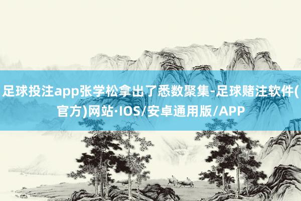 足球投注app张学松拿出了悉数聚集-足球赌注软件(官方)网站·IOS/安卓通用版/APP