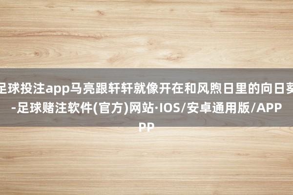 足球投注app马亮跟轩轩就像开在和风煦日里的向日葵-足球赌注软件(官方)网站·IOS/安卓通用版/APP