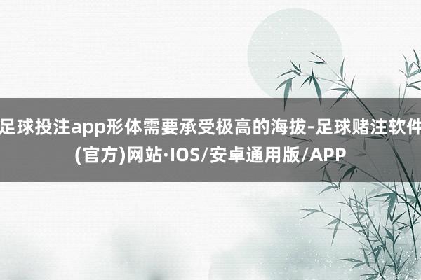 足球投注app形体需要承受极高的海拔-足球赌注软件(官方)网站·IOS/安卓通用版/APP