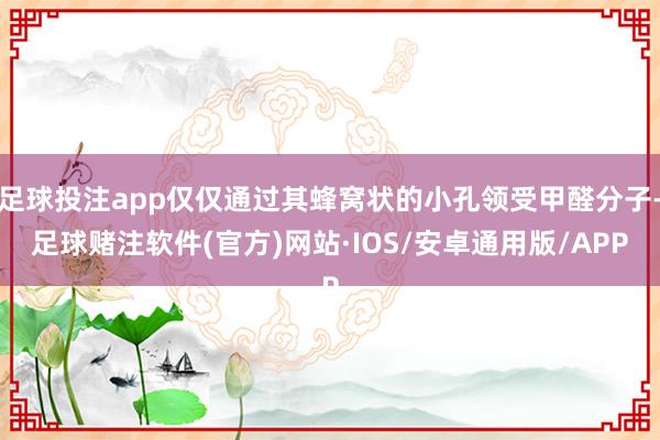 足球投注app仅仅通过其蜂窝状的小孔领受甲醛分子-足球赌注软件(官方)网站·IOS/安卓通用版/APP