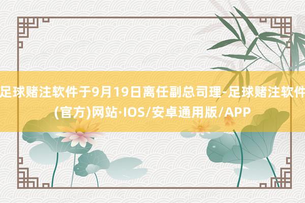 足球赌注软件于9月19日离任副总司理-足球赌注软件(官方)网站·IOS/安卓通用版/APP