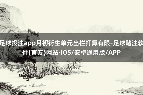 足球投注app月初衍生单元出栏打算有限-足球赌注软件(官方)网站·IOS/安卓通用版/APP