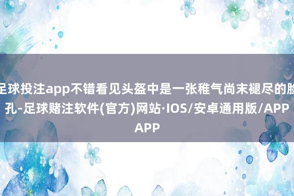 足球投注app不错看见头盔中是一张稚气尚末褪尽的脸孔-足球赌注软件(官方)网站·IOS/安卓通用版/APP